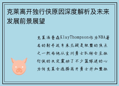 克莱离开独行侠原因深度解析及未来发展前景展望