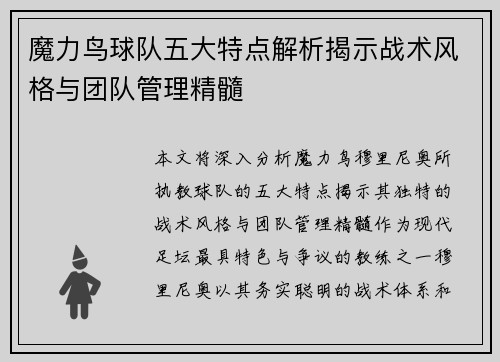 魔力鸟球队五大特点解析揭示战术风格与团队管理精髓