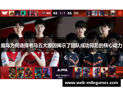 魔鸟为何选择老马五大原因揭示了团队成功背后的核心动力