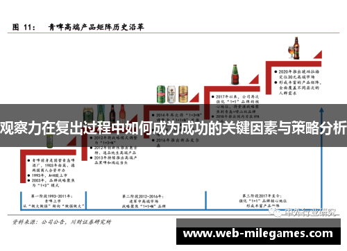 观察力在复出过程中如何成为成功的关键因素与策略分析